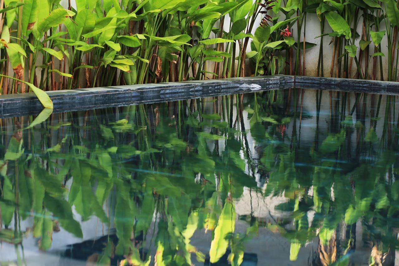 The Bau Bi Retreat Apartment Hoi An Exterior foto